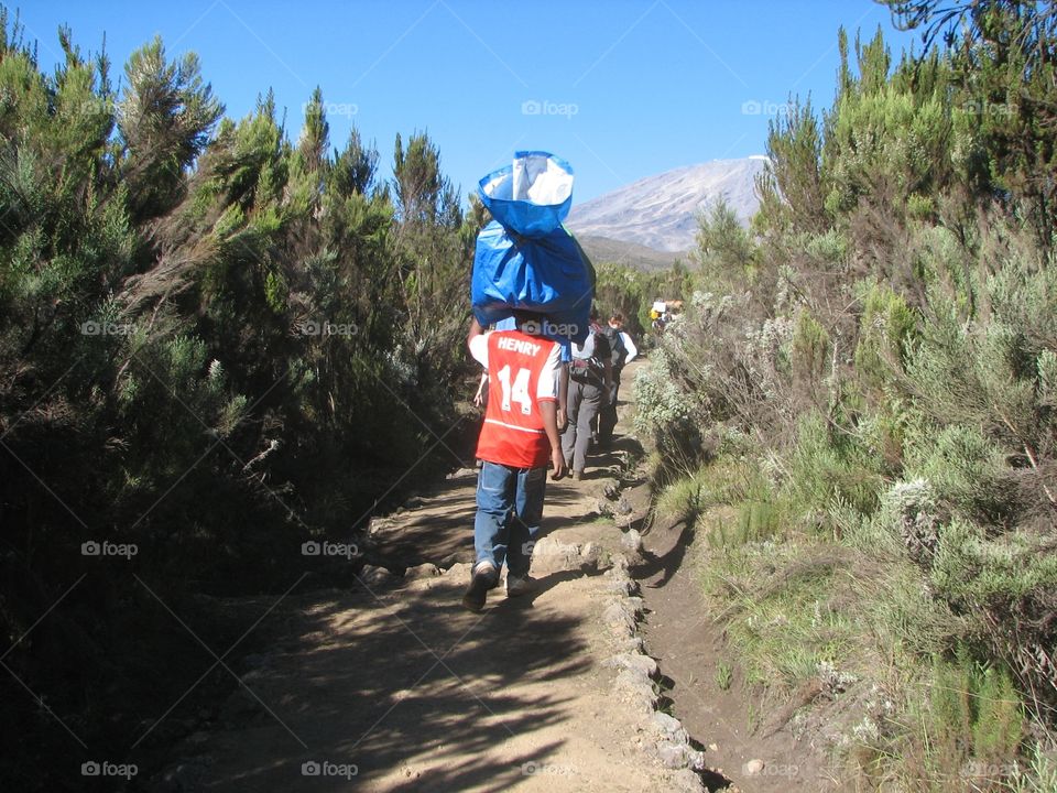 Single file Kilimanjaro 2006
