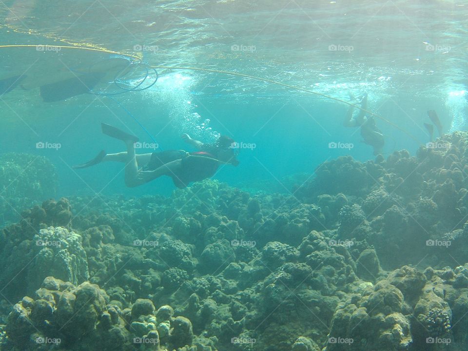 Father And Son Scuba Diving