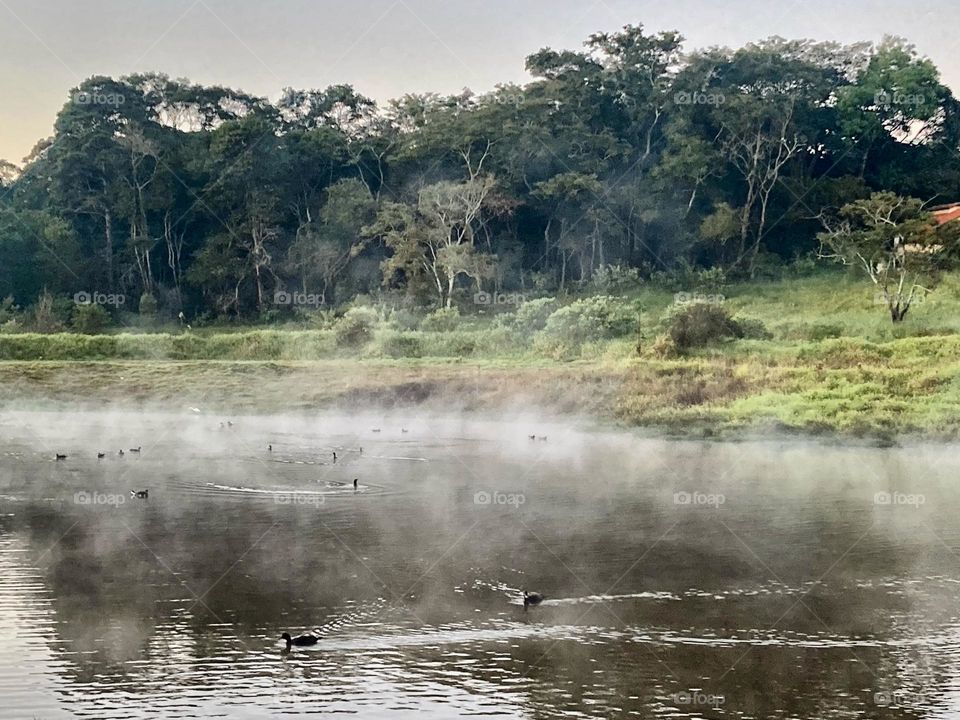 Acho que os patinhos estão com frio, hein?

Olhe as águas “esfumaçando”… aqui: Bragança Paulista 