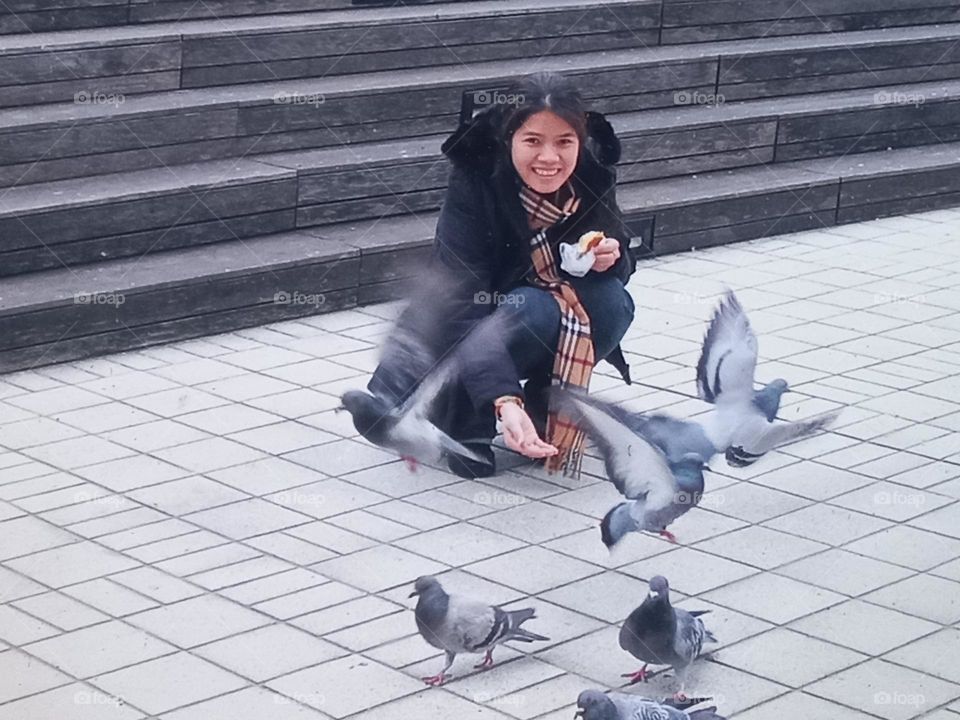 Bồ câu ơi đừng bay.