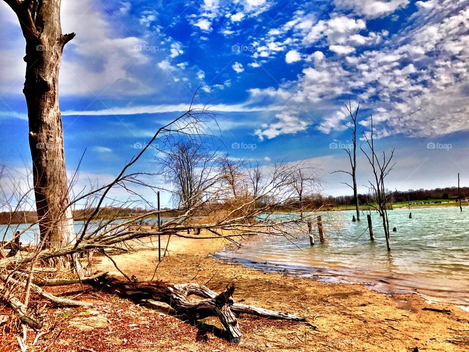 Lake view on a hike in the park in Indiana 