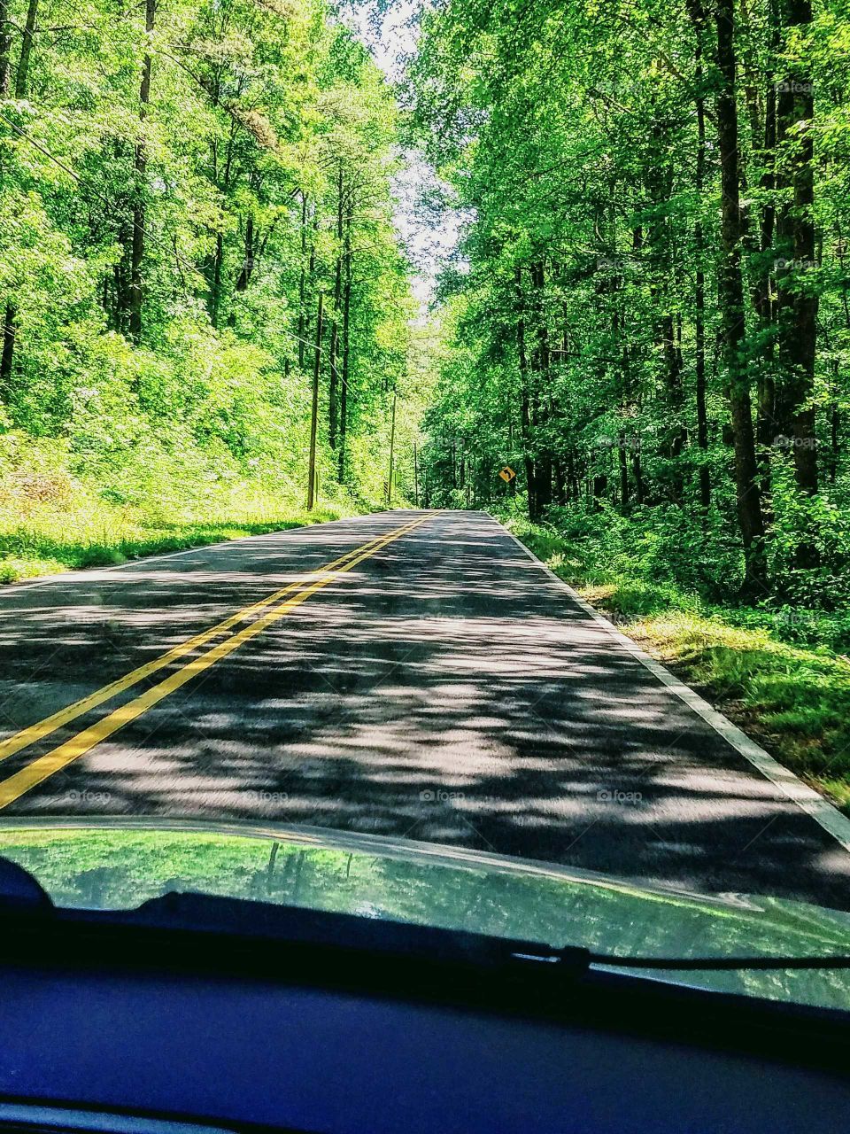Driving through Guntersville State Park in Alabama