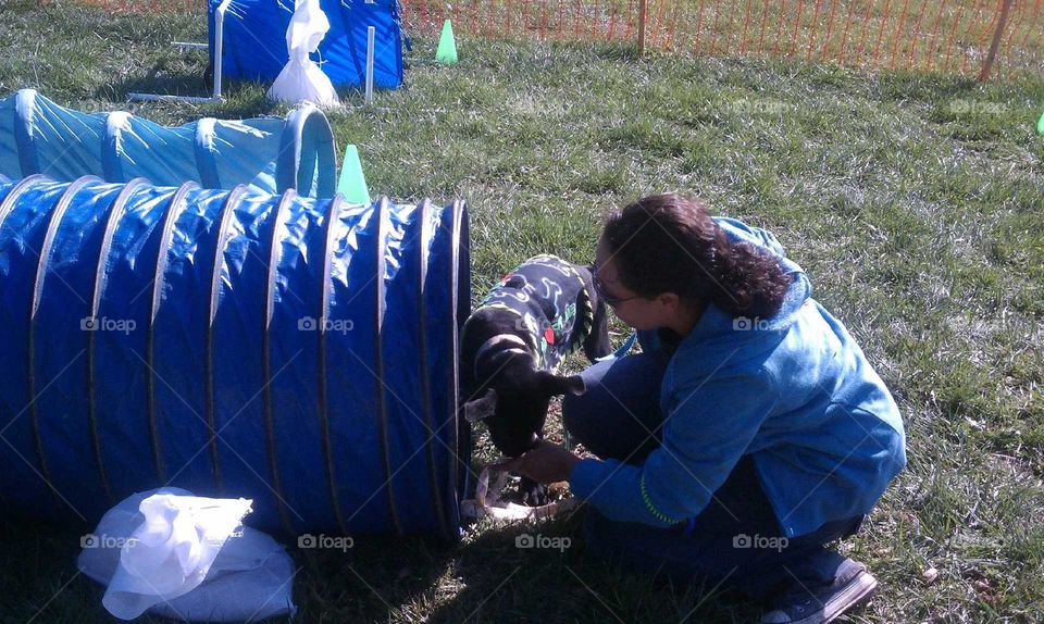 Training A Dog To Go Through A Tunnel