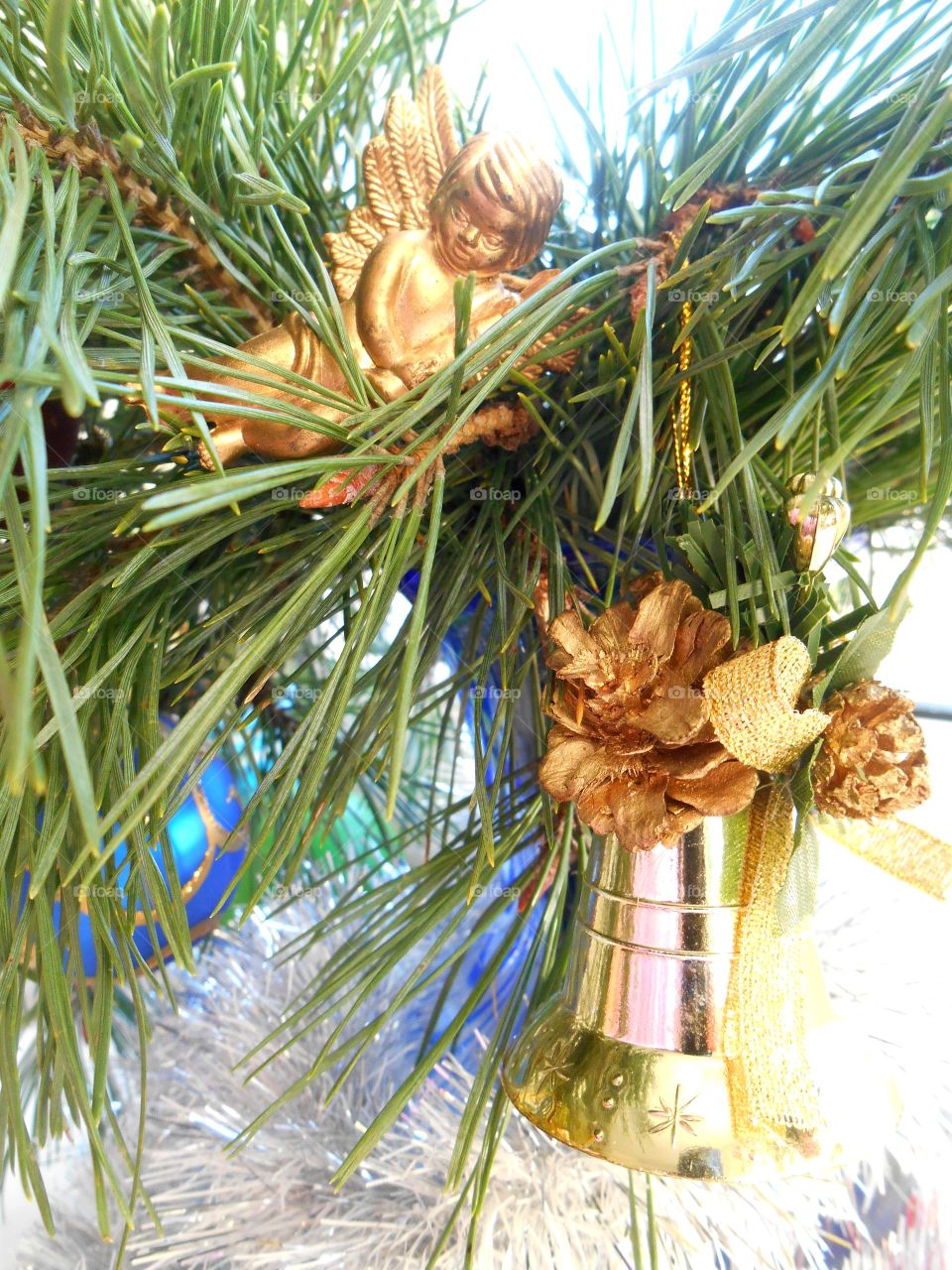 Christmas, Winter, Pine, Tree, Decoration