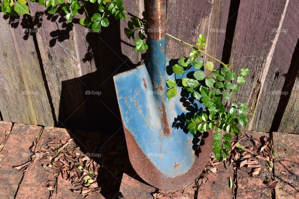 Rusted shovel