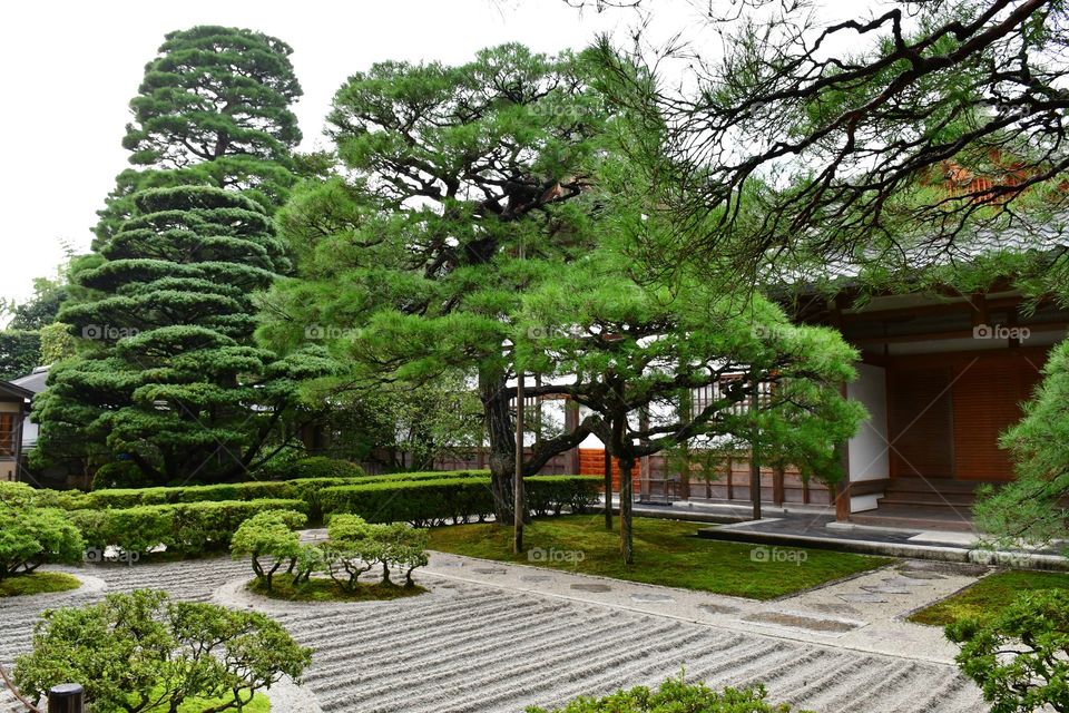 Japanese garden