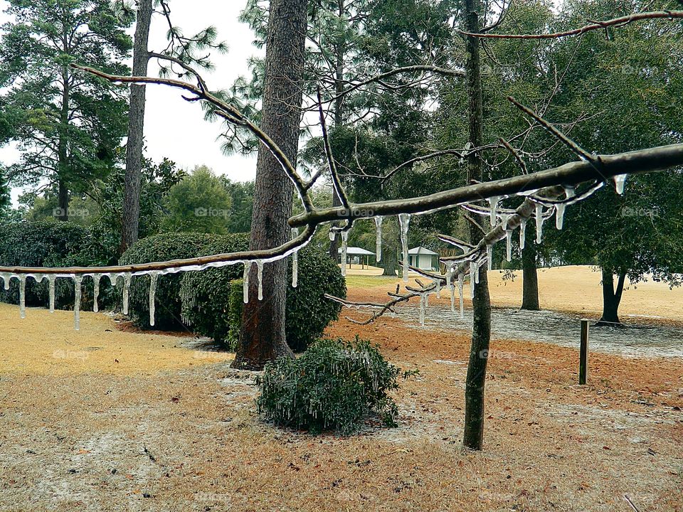 Winter presents its own special challenges. When the land is covered with a coating of snow and ice outlines branches, the outdoors are transformed into a magical place