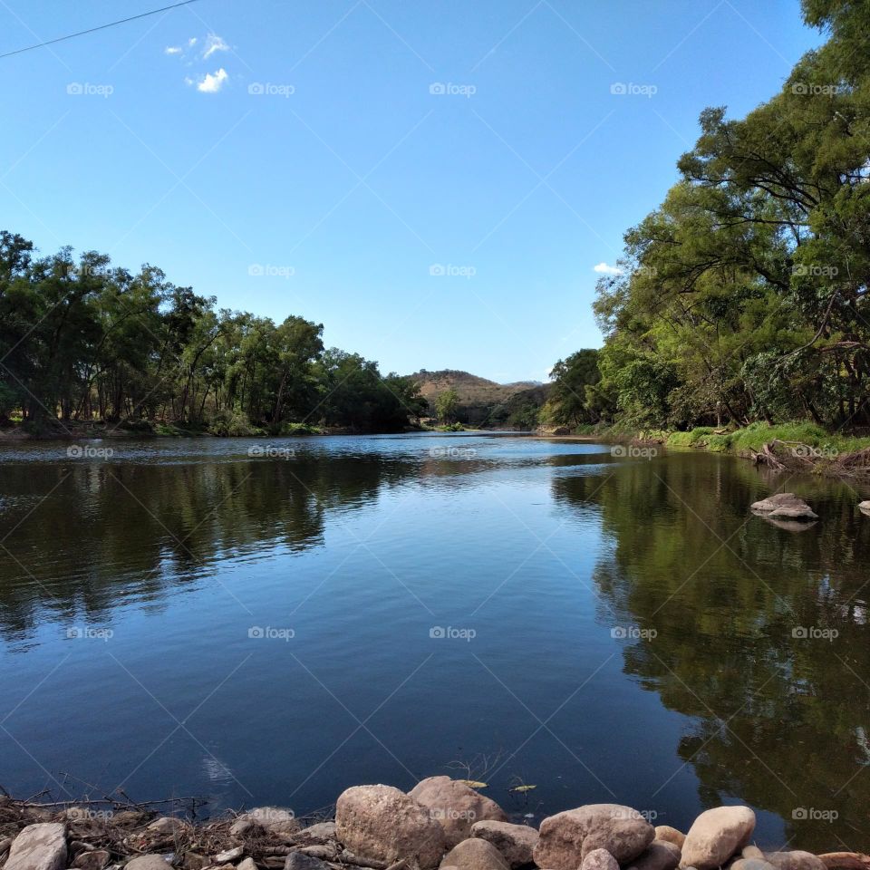 Efecto espejo del bosque en el agua 🏞️
