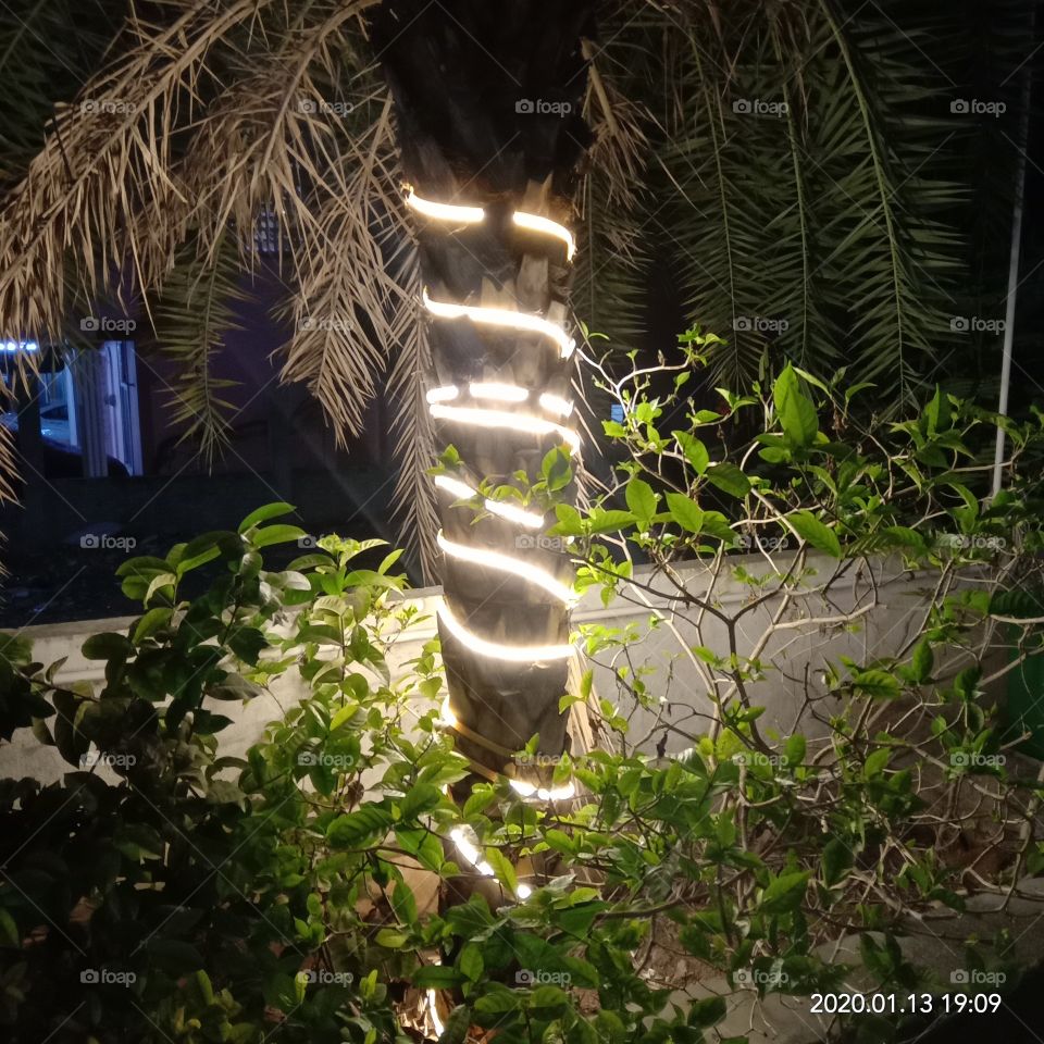 Light:Nature vs Artificial