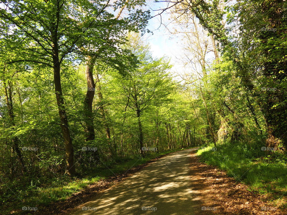 Near Conchil le Temple, Northern France