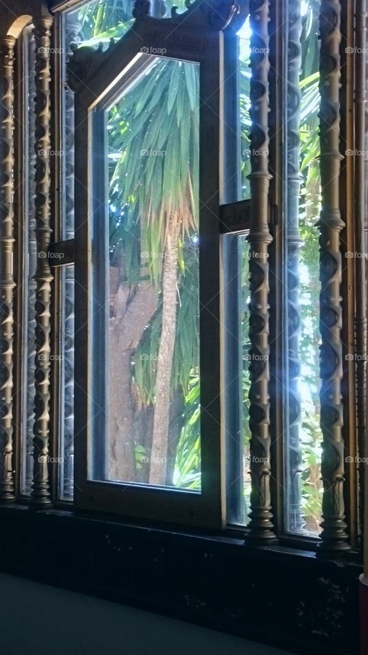 In days on this year everything looks like touchable with hand but windows is cloused