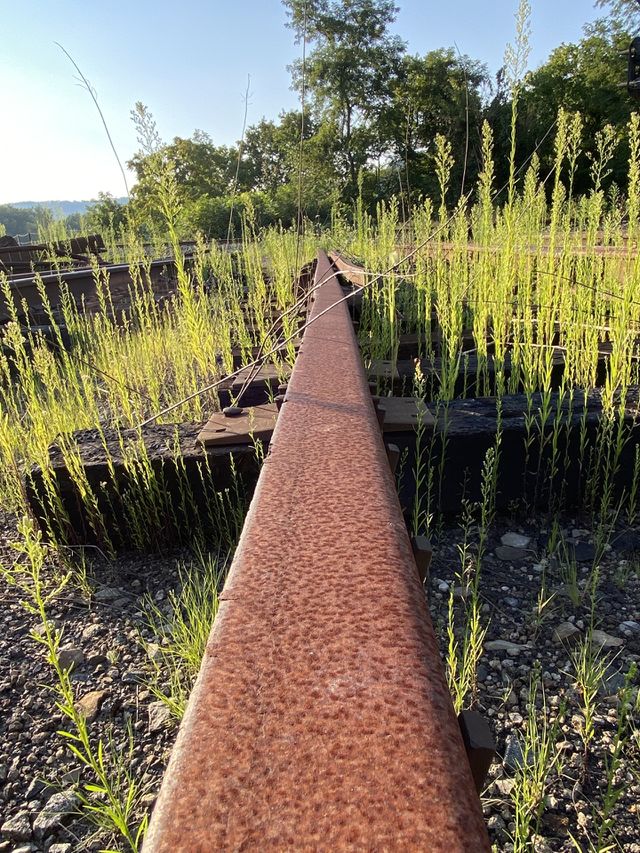 Abandoned tracks 