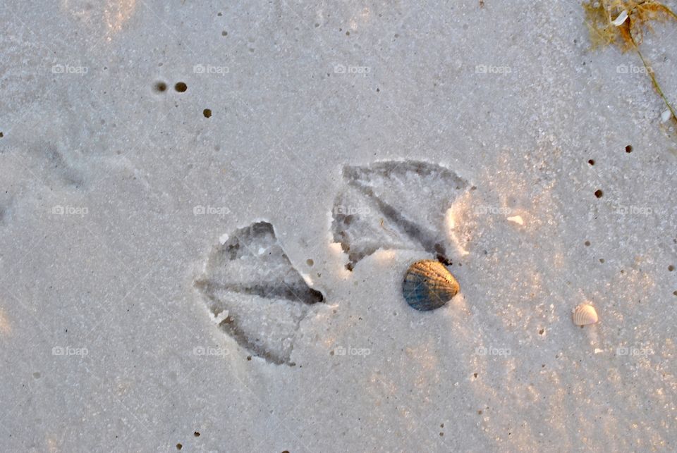 Footprints 