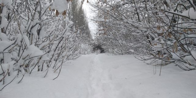 Winter