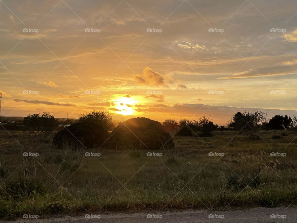 Sunset on the Fields, Por do sol no campo 