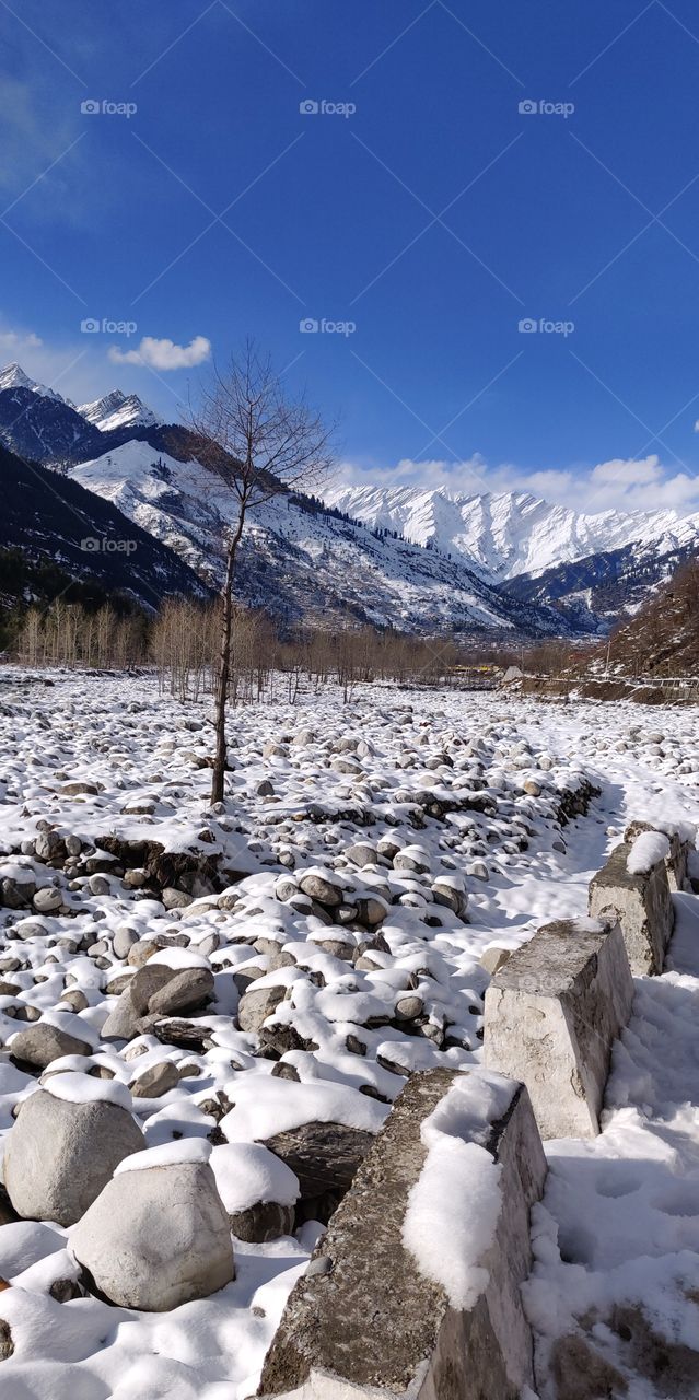 Manali the land of snow and love