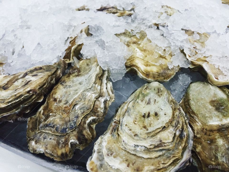 Oyster on crushed ice