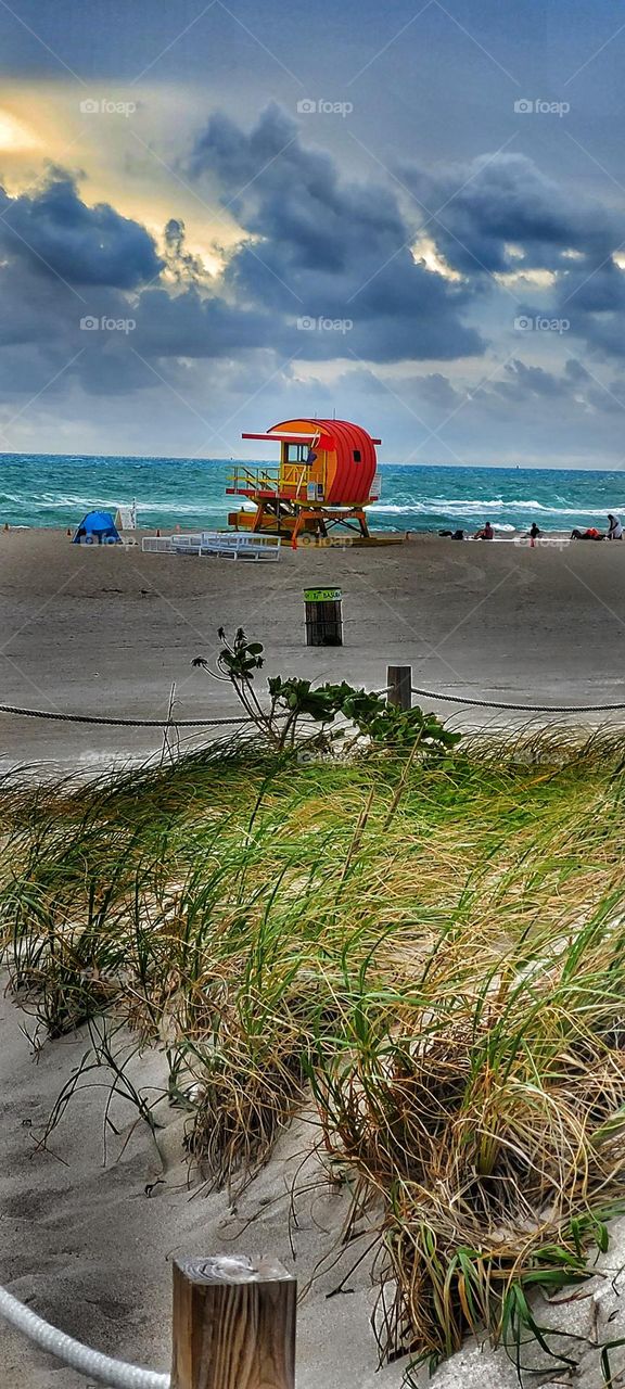 lifeguard stand