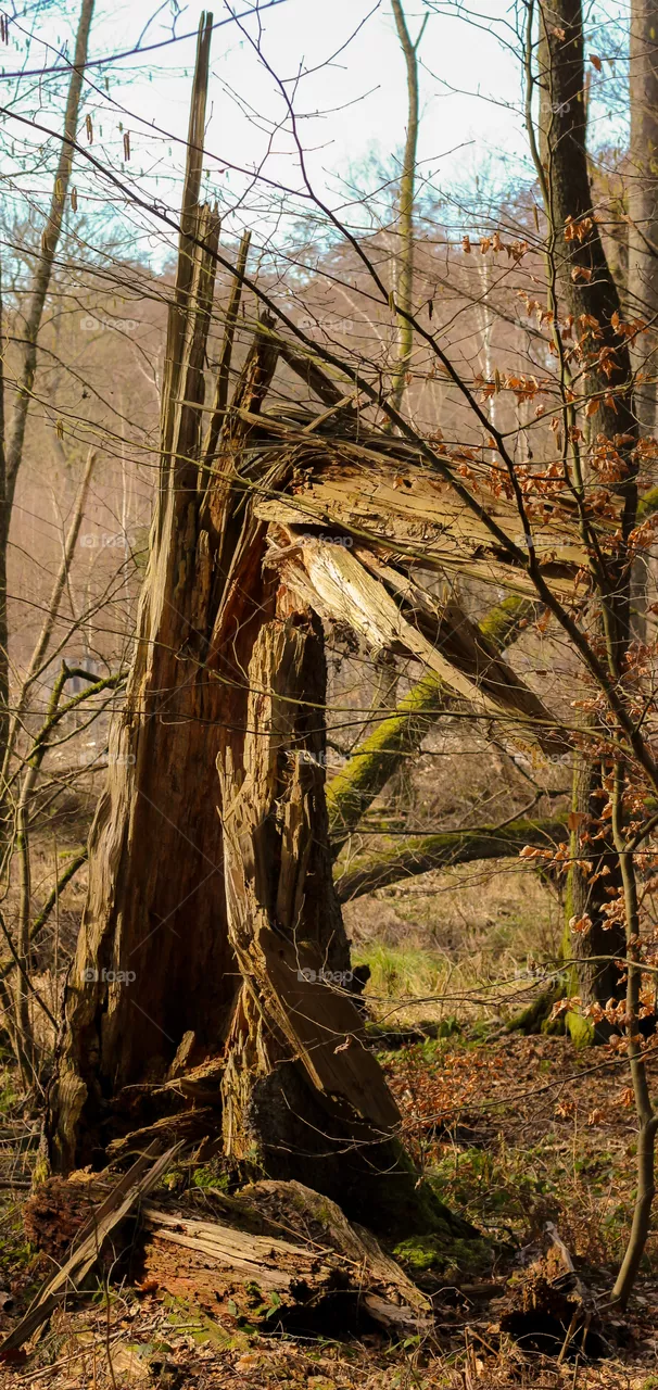 Naturgewalt