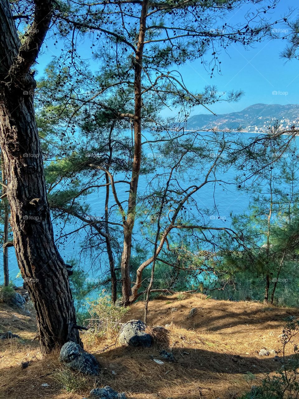 Beautiful view on the sea