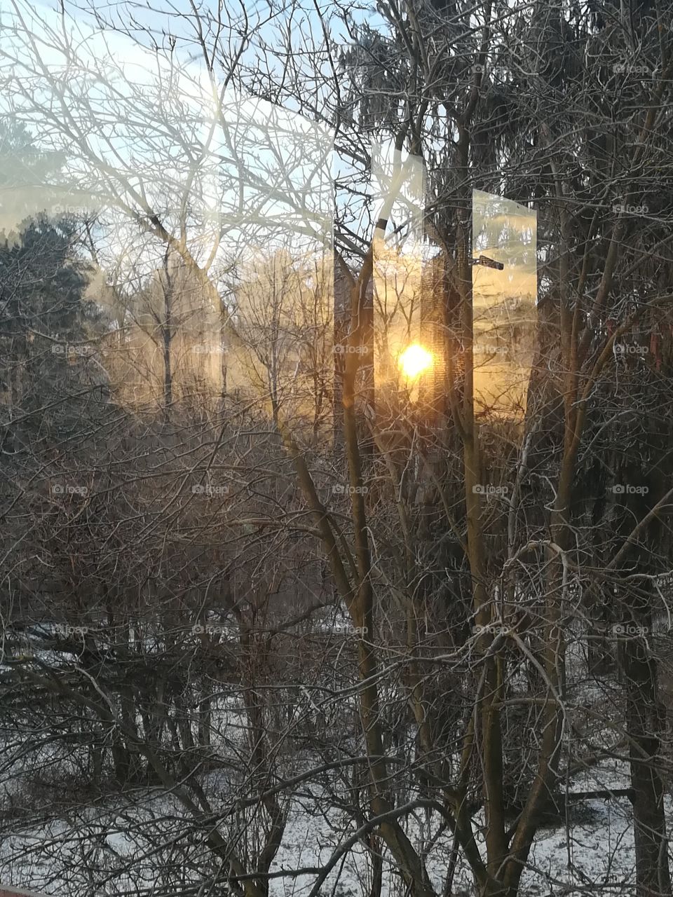 Sunrise reflection