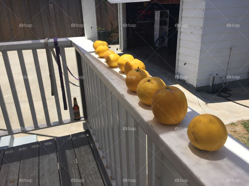 Oranges all in a row