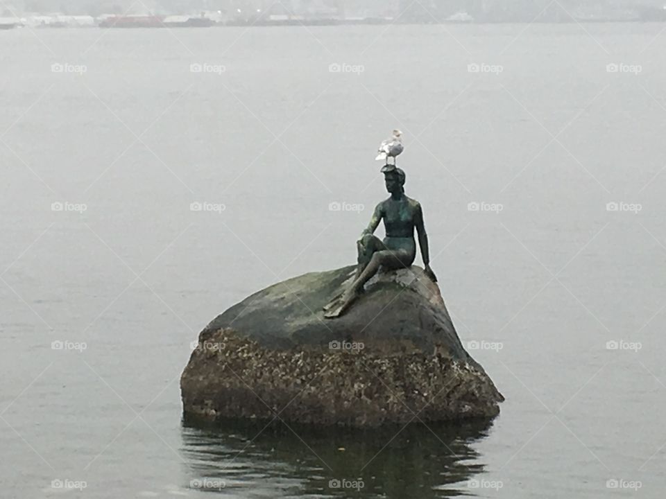 Seagull sitting on a statue