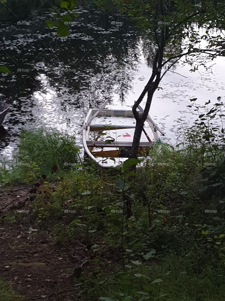 Dalälven ,behind my home