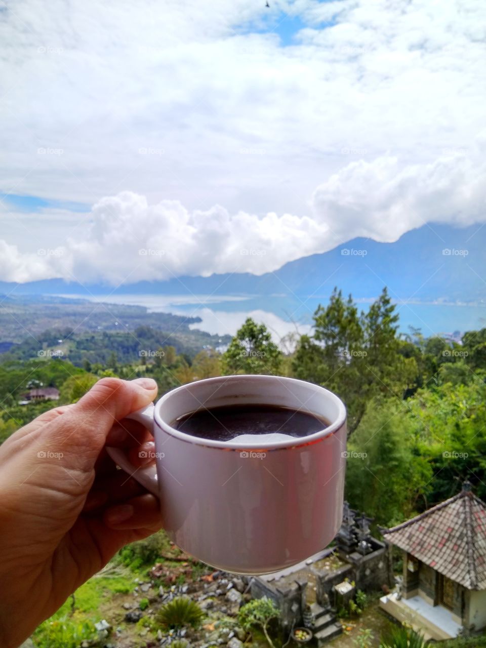 Person hand holding tea cup