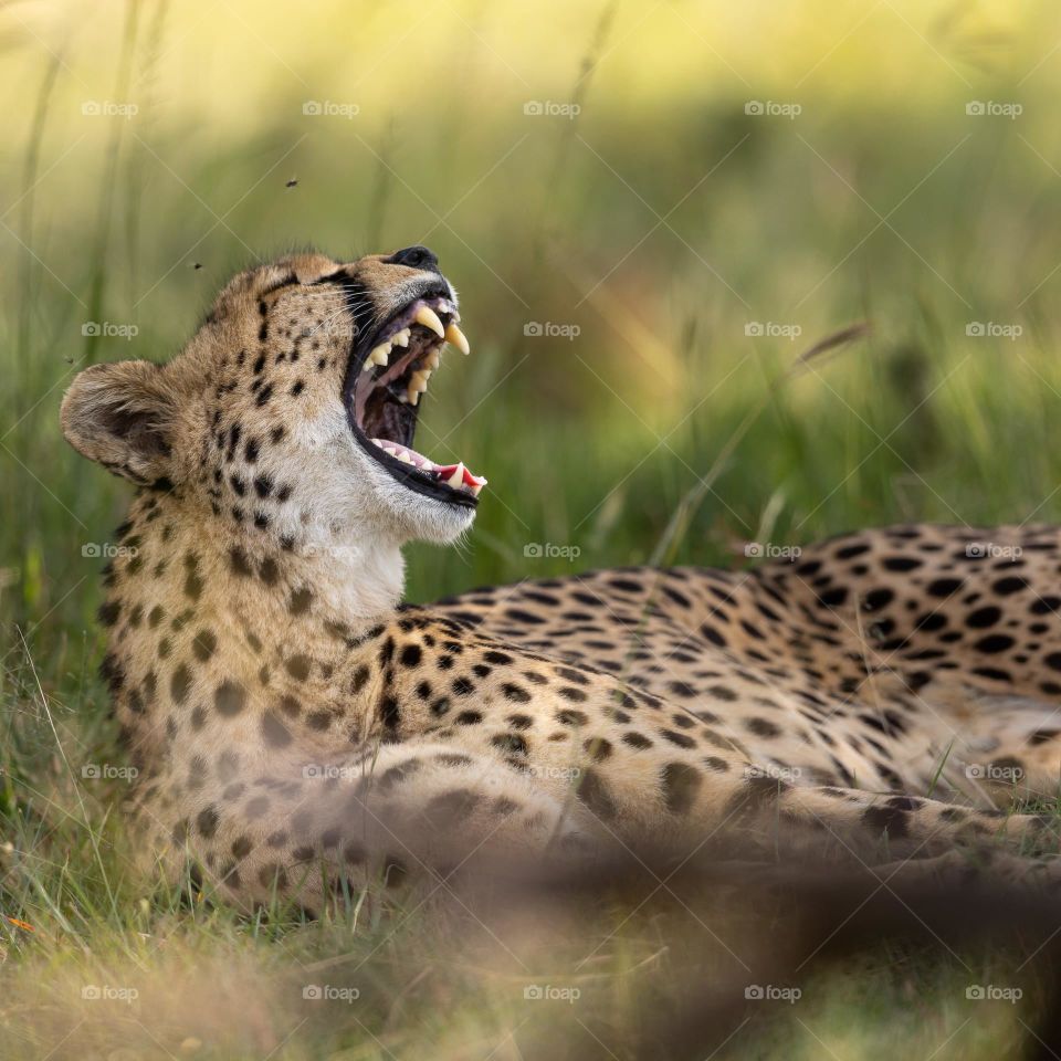 SUNDAY morning MOOD!