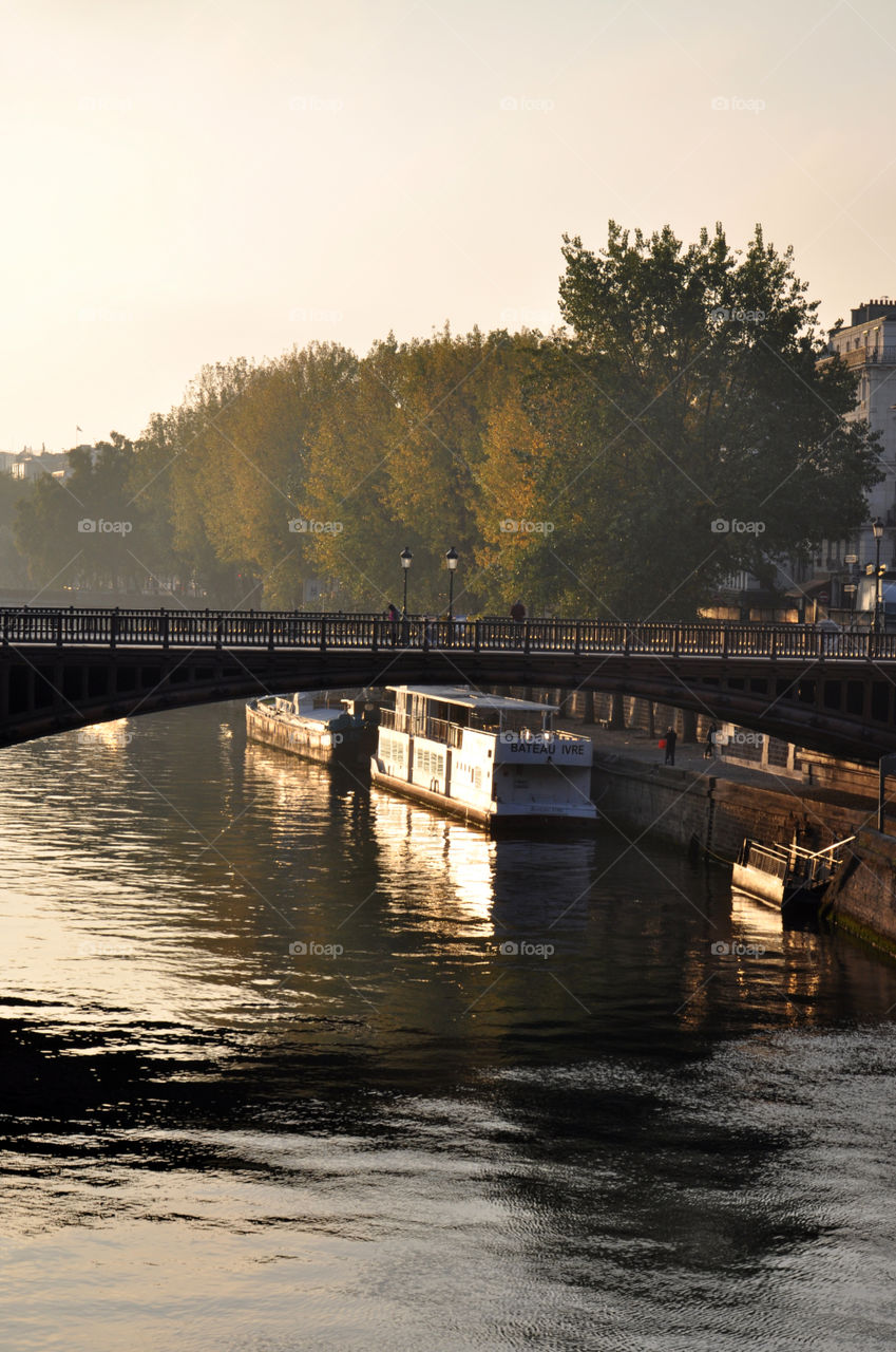 Morning in Paris 