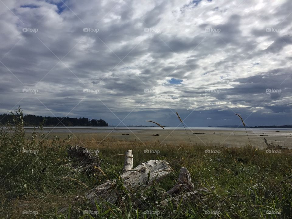 Driftwood in a grassy estuary with a view of the ocean, mountains, peninsula, and a great big cloud dappled sky!