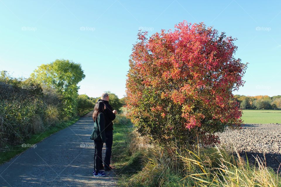 Autumn stroll