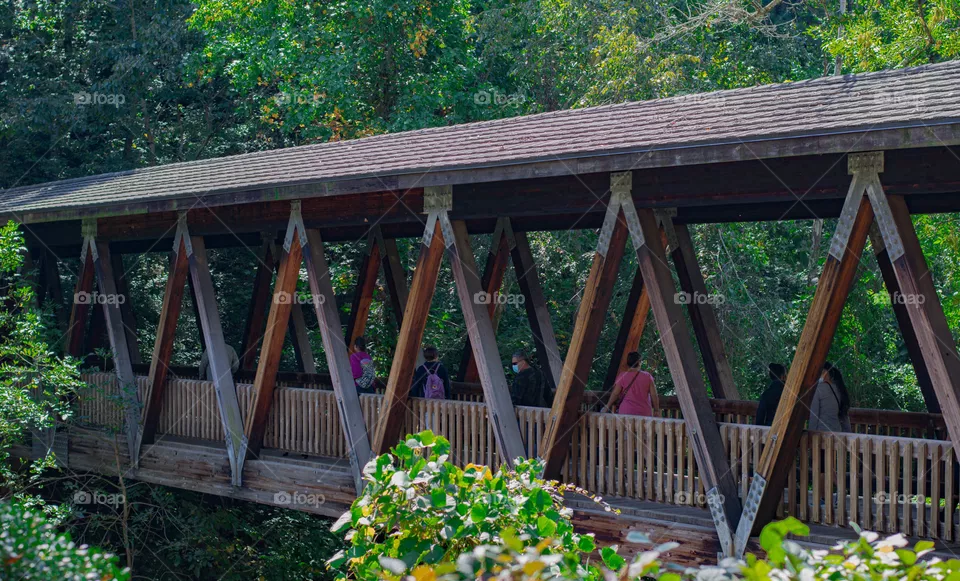 covered bridge