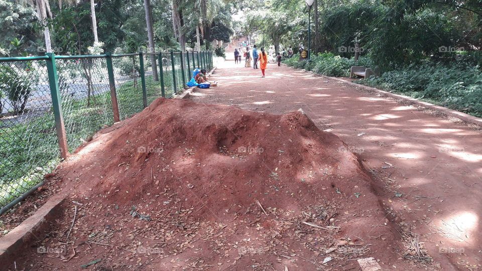 Road, Landscape, Environment, No Person, Calamity