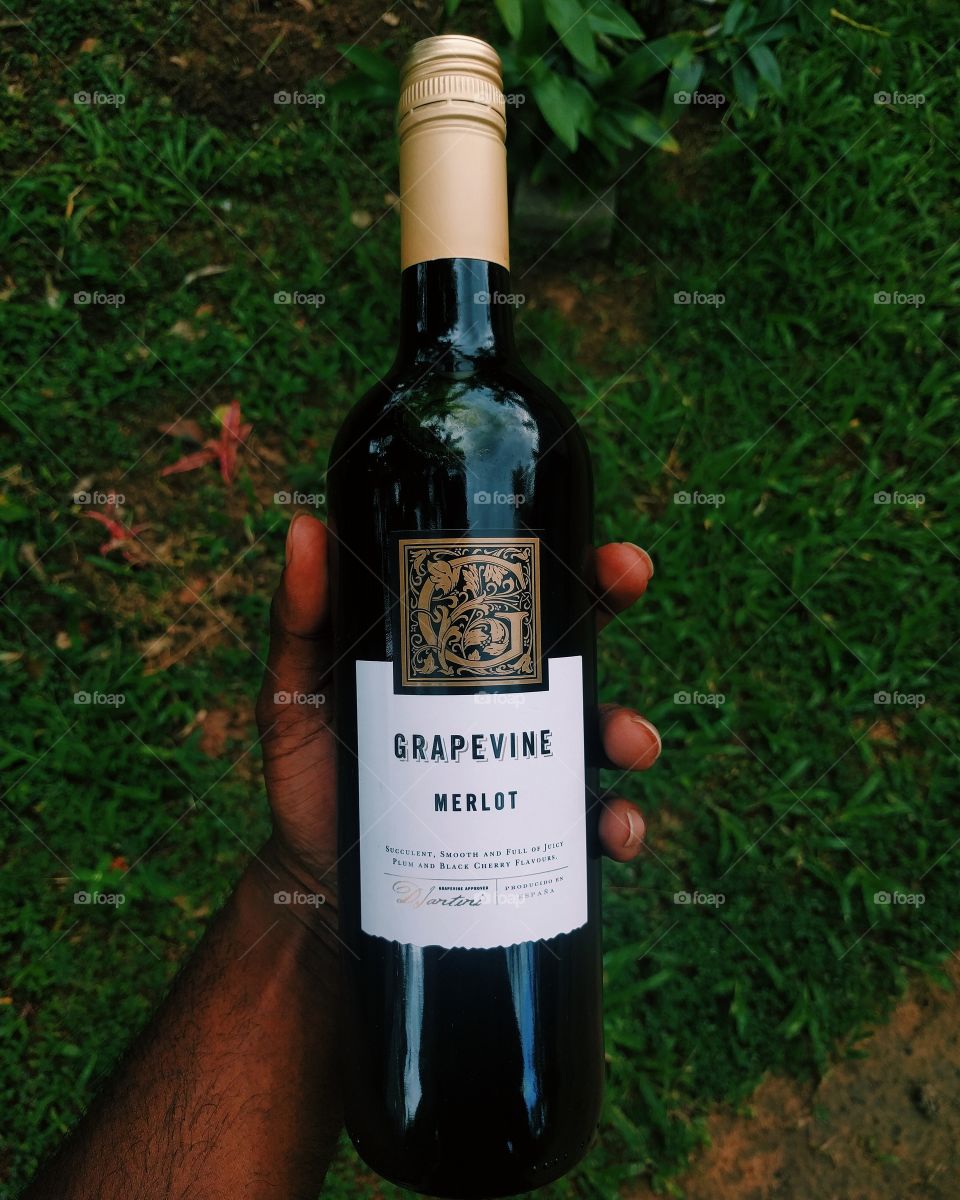 wine
