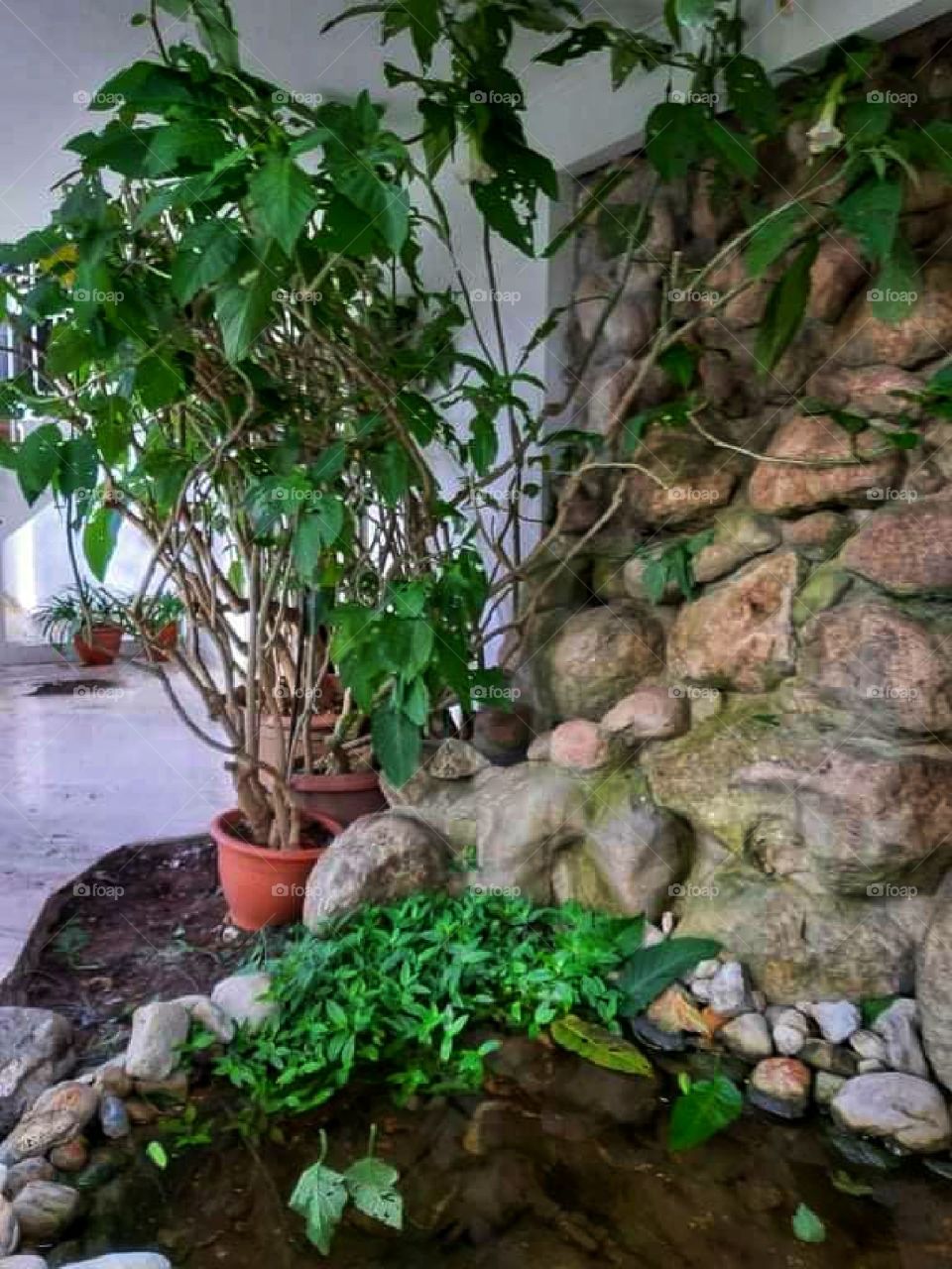 Nature corner inside