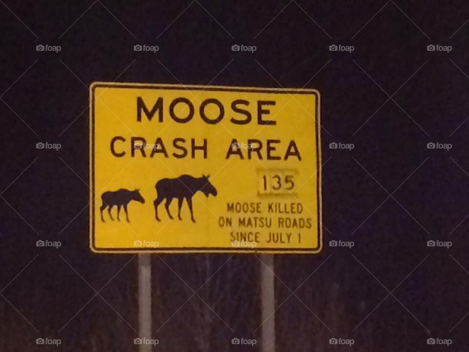 Alaska highway warning sign