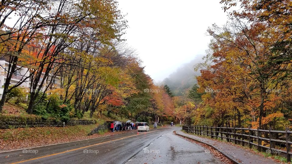 Fall roads