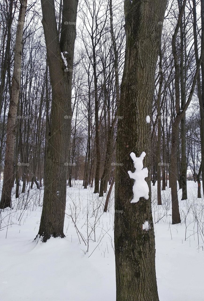 rabbit snow in park