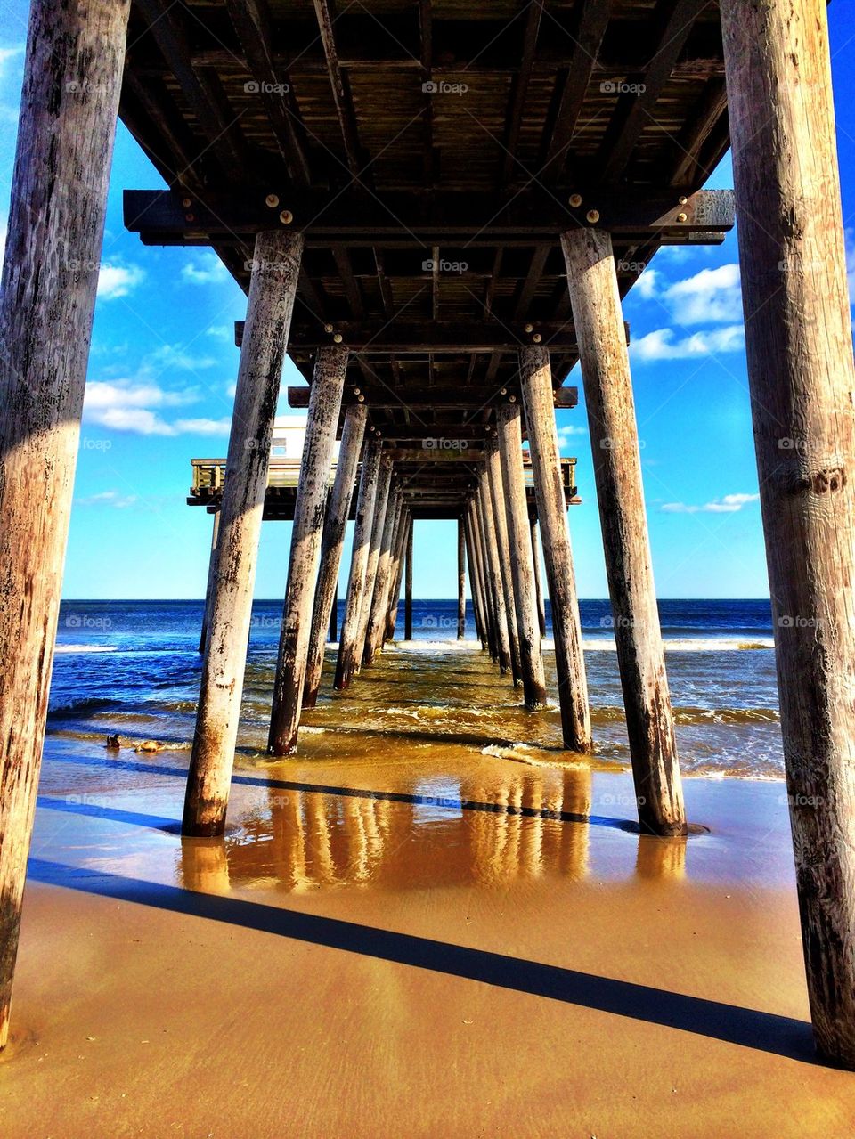 Under the dock