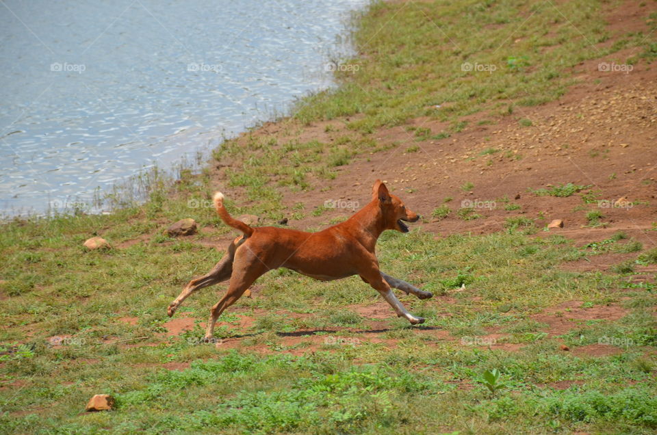 jumping