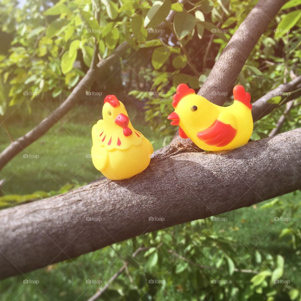 Yellow chicken dolls on tree branch 