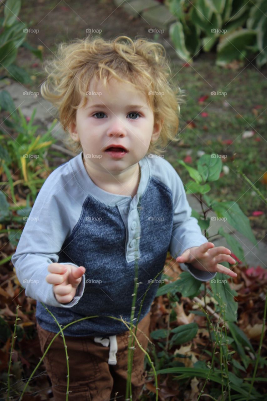 Exploring in the yard