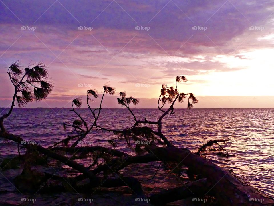 Like a glass of red wine, the Amethyst Sunset filled the sky, pure scattered light; its hue ambitiously illuminating each crevice of the sky