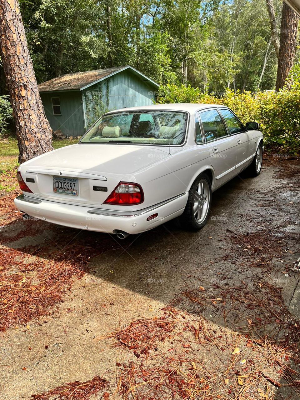 executive car old model Jaguar