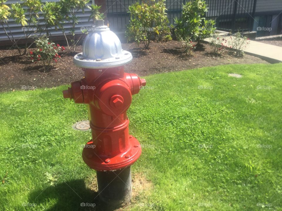 Old Fire Hydrant 