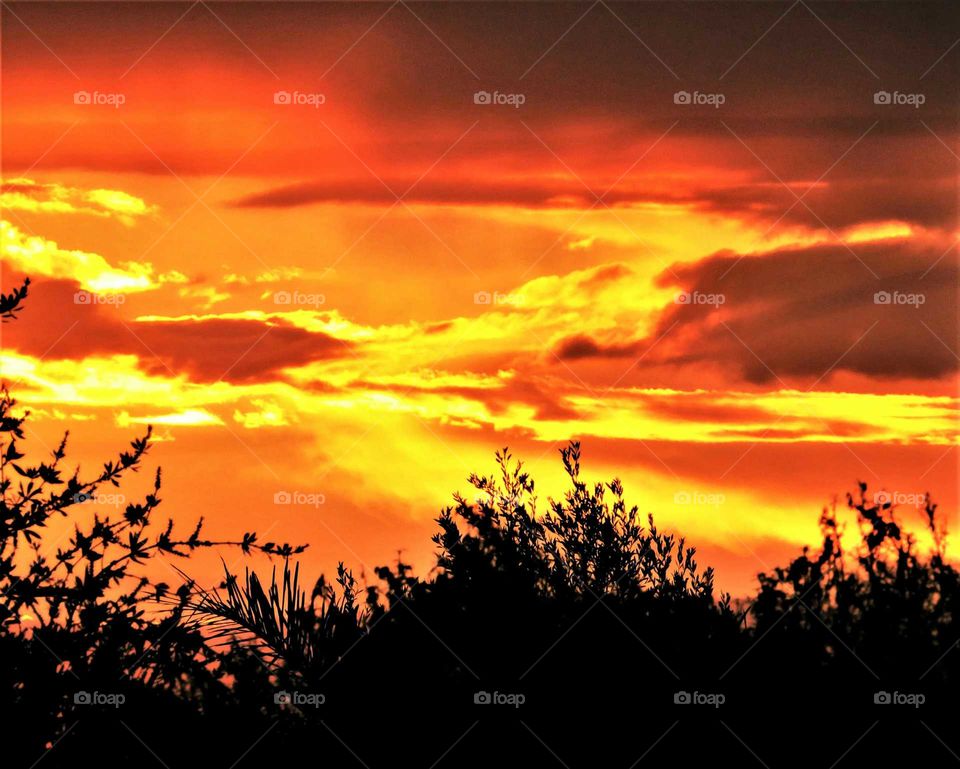 rain clouds on a golden sunset