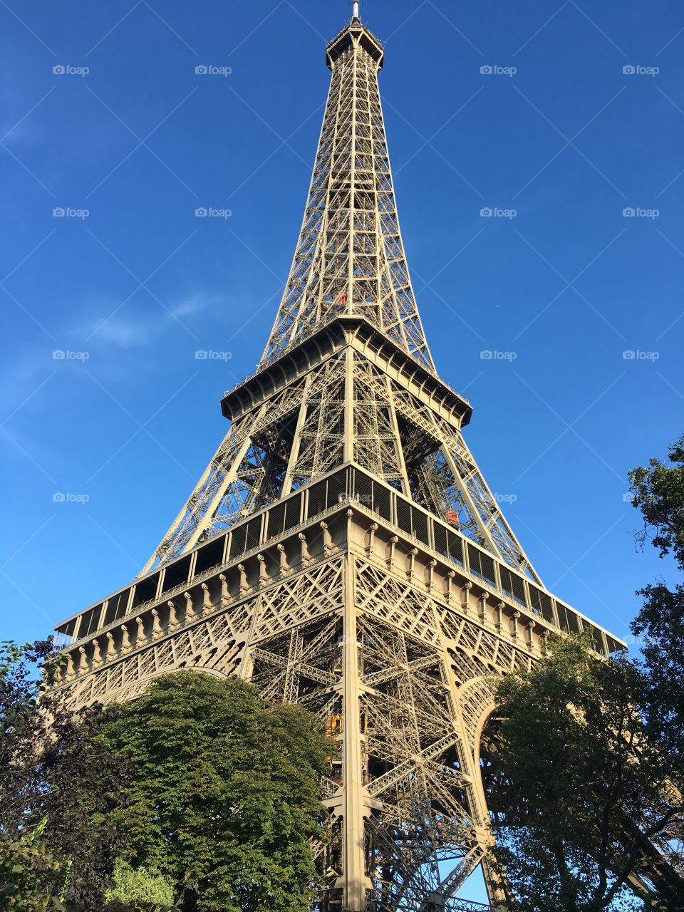 The Eiffel Tower