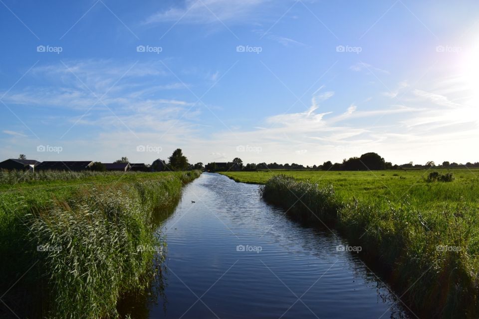 River in the farms 